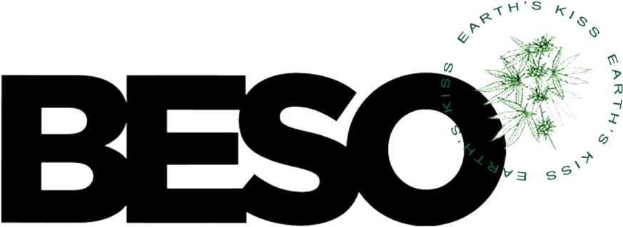 Beso Logo [with Earth's Kiss Circle] (1000x429), Png Download