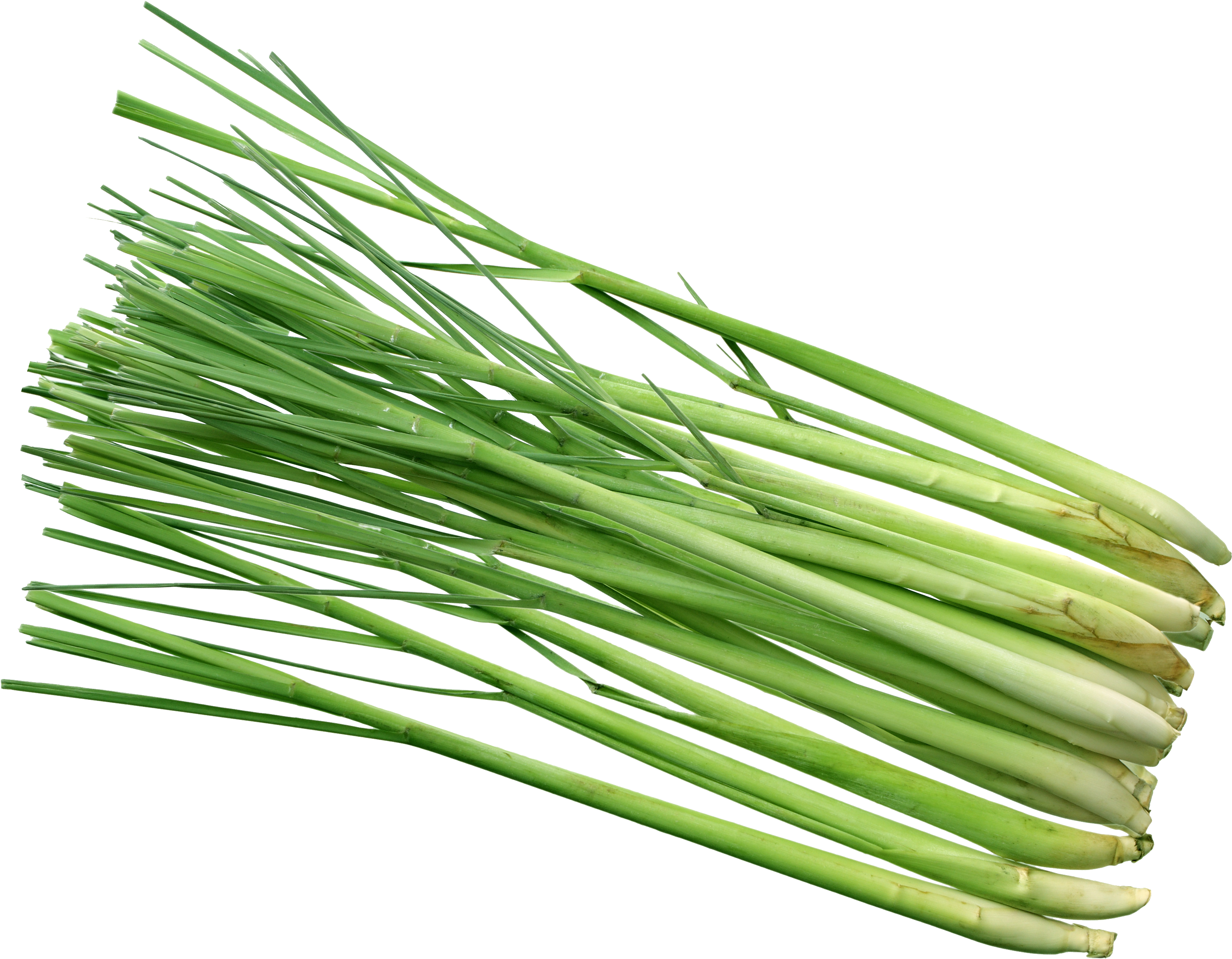 Lemongrass Png - Lemon Grass Hd Png (3538x2500), Png Download