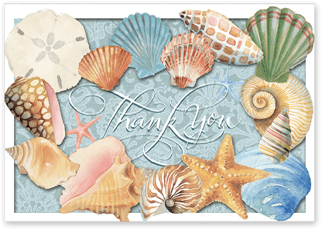 Sea Shells Boxed Thank You Cards - Shell (1200x1200), Png Download