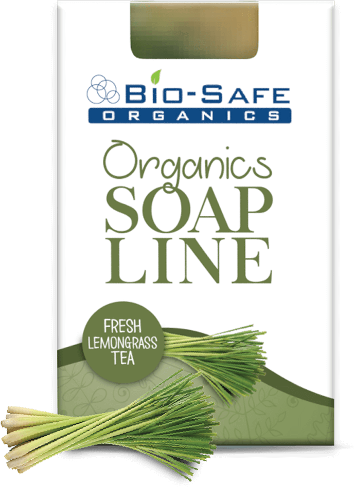 Fresh Lemongrass Tea - Leek (960x1020), Png Download