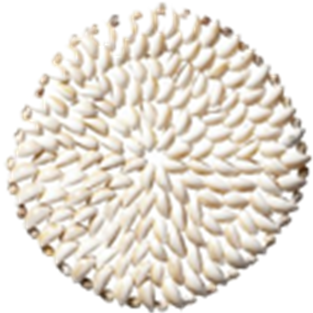 Table Mat Sea Shells White - Ofra (1000x1000), Png Download