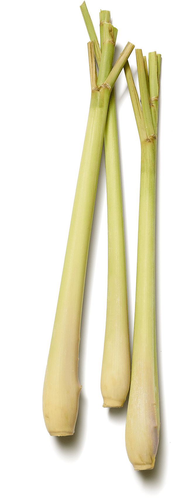 Images - Wood (2000x2000), Png Download