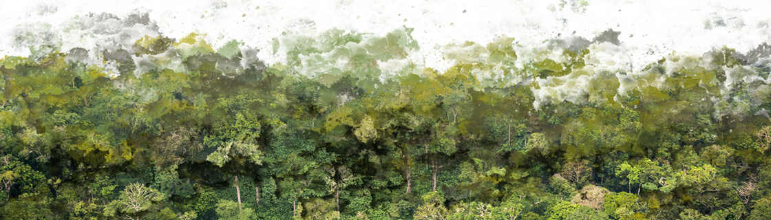 Tree (1120x320), Png Download
