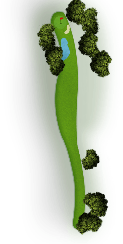 Map-12 - Hornwort (600x800), Png Download