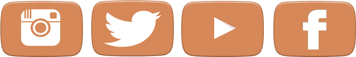 Caso - Icones De Redes Sociais Branco Png (1253x254), Png Download