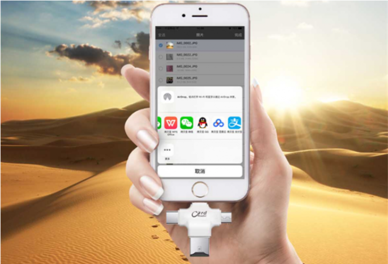 Click Image For Gallery - Desert Sun (800x800), Png Download