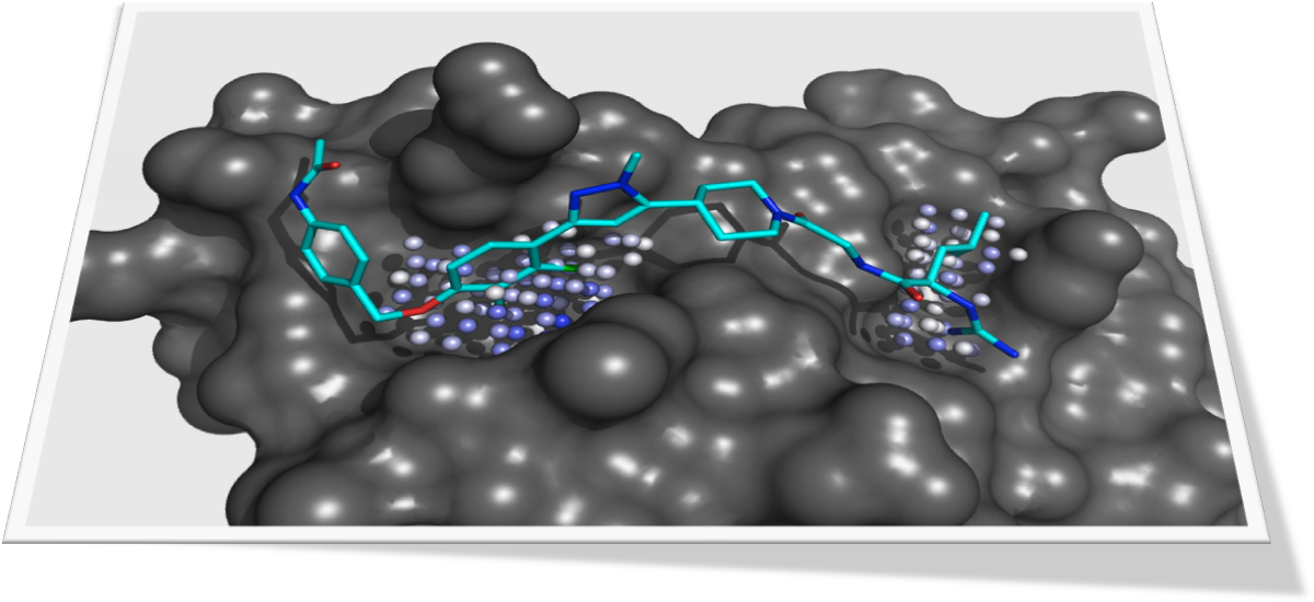 Binding Pockets & Pocket-ligand Datasets - Pymol Shape Binding Pocket (1235x558), Png Download