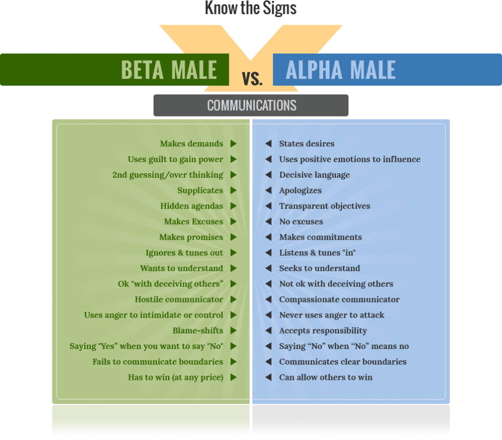 For A Woman, How A Man Communicates Is The Number One - Beta Vs Alpha Male (1024x899), Png Download