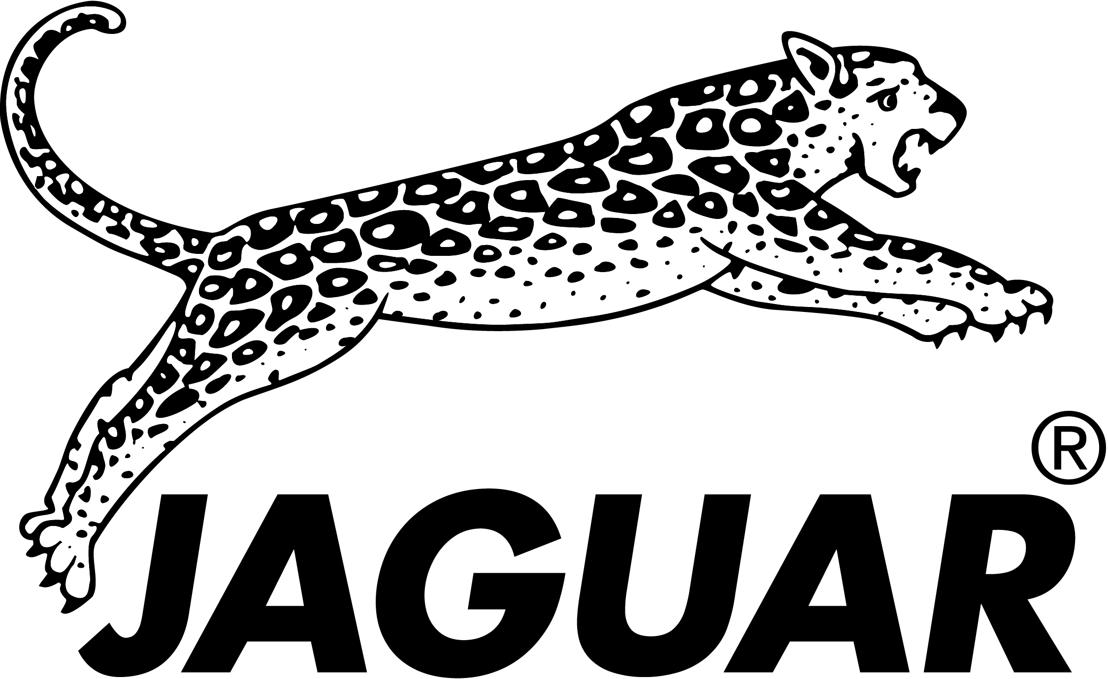 Jaguar Logo Hairdressing - Jaguar Hair Logo (2250x1380), Png Download