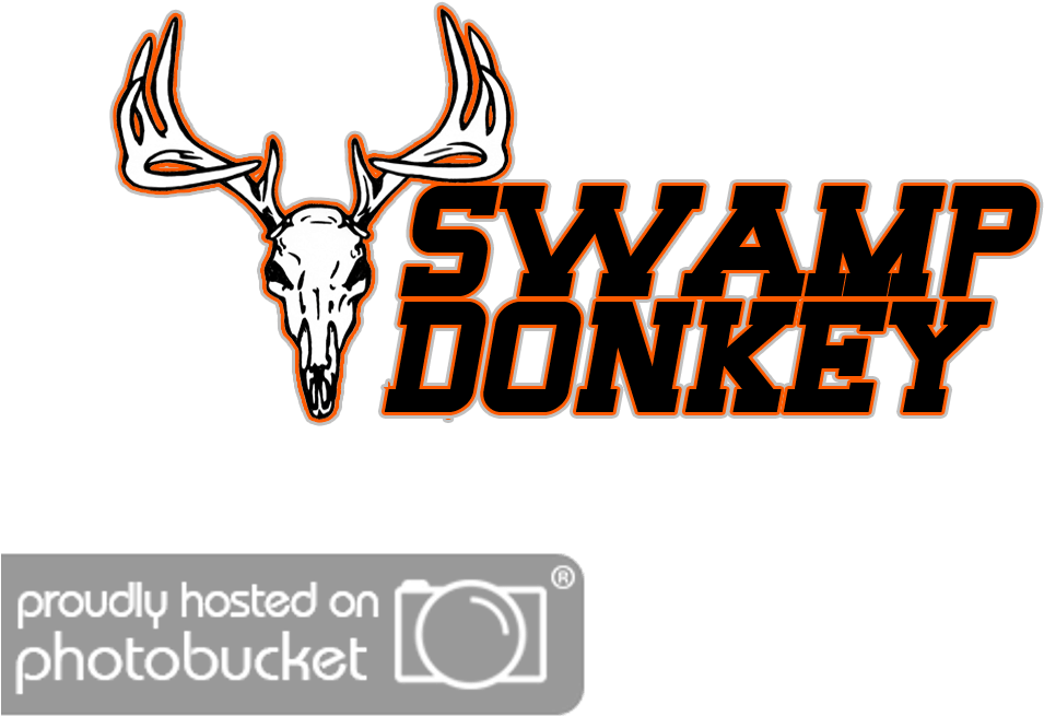 Democrat Donkey Logo - Graphic Design (1024x1024), Png Download