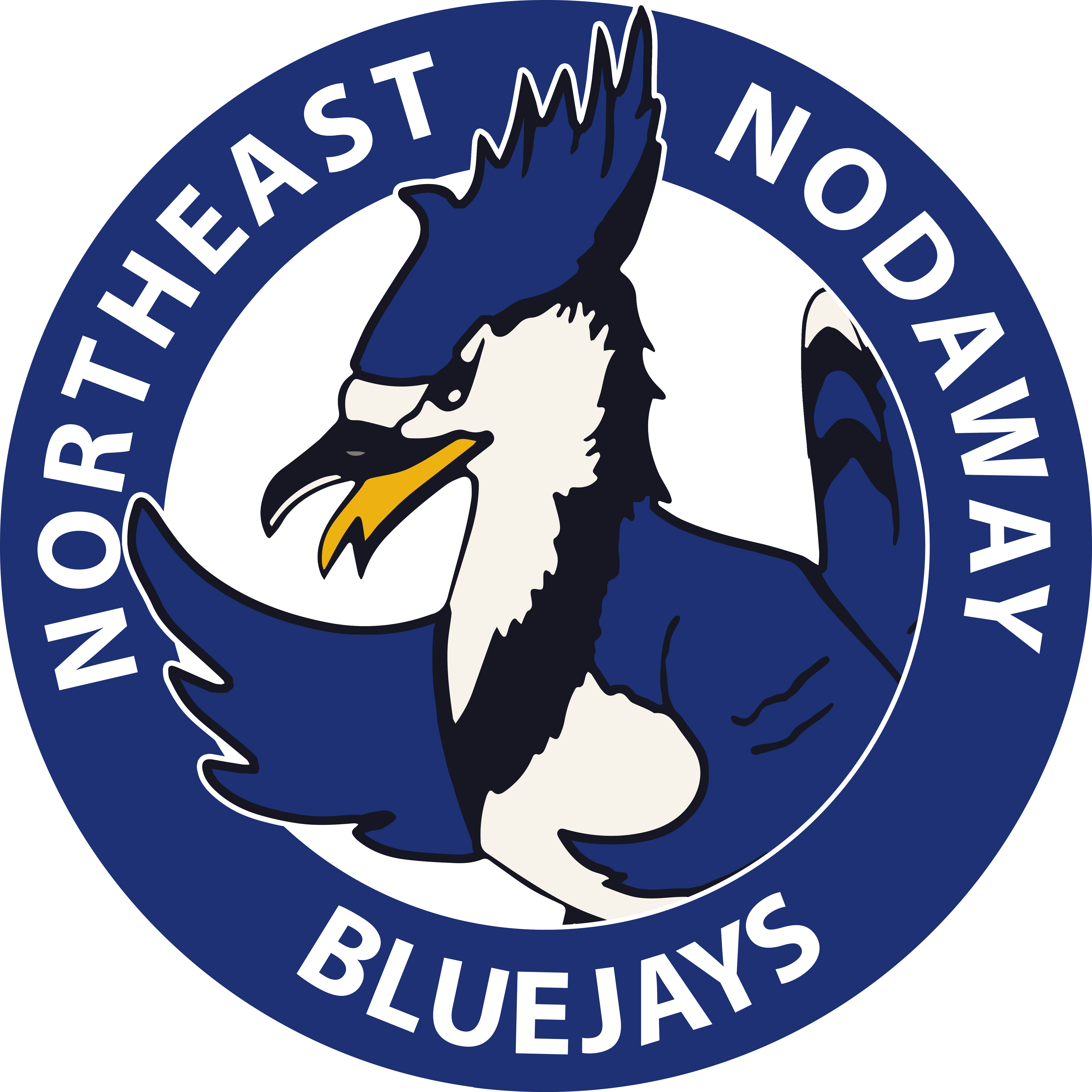 Nensd Monogram - Northeast Nodaway (4906x4906), Png Download