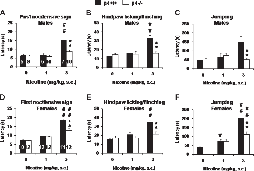 Latencies To Show The First Nocifensive Sign , Hindpaw - Diagram (813x547), Png Download
