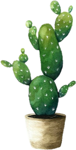 Image Image - Plant Watercolor Painting (570x688), Png Download