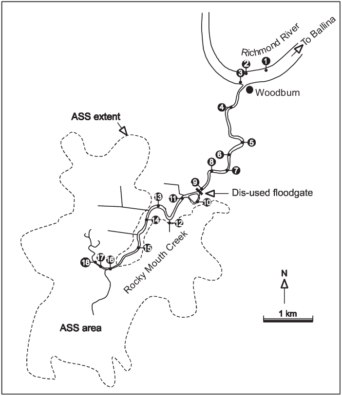 Sampling Locations In Rocky Mouth Creek - Diagram (702x814), Png Download