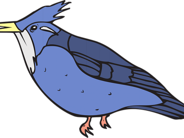 Blue Jay Clipart Bir - Kingfisher Coloring Page (640x480), Png Download
