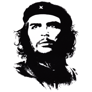 Tous Les T-shirts Et Sweat Shirts Au Motif D'ernesto - Illustration (800x800), Png Download