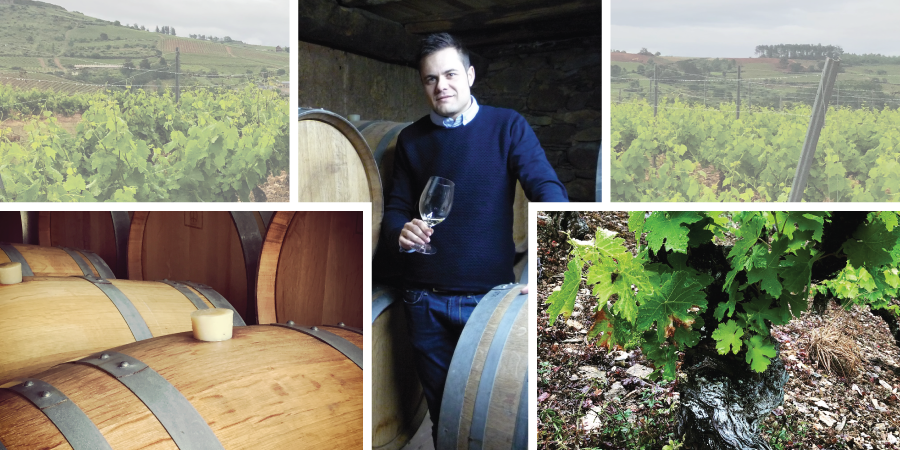 Jose Antonio García - Vineyard (900x450), Png Download