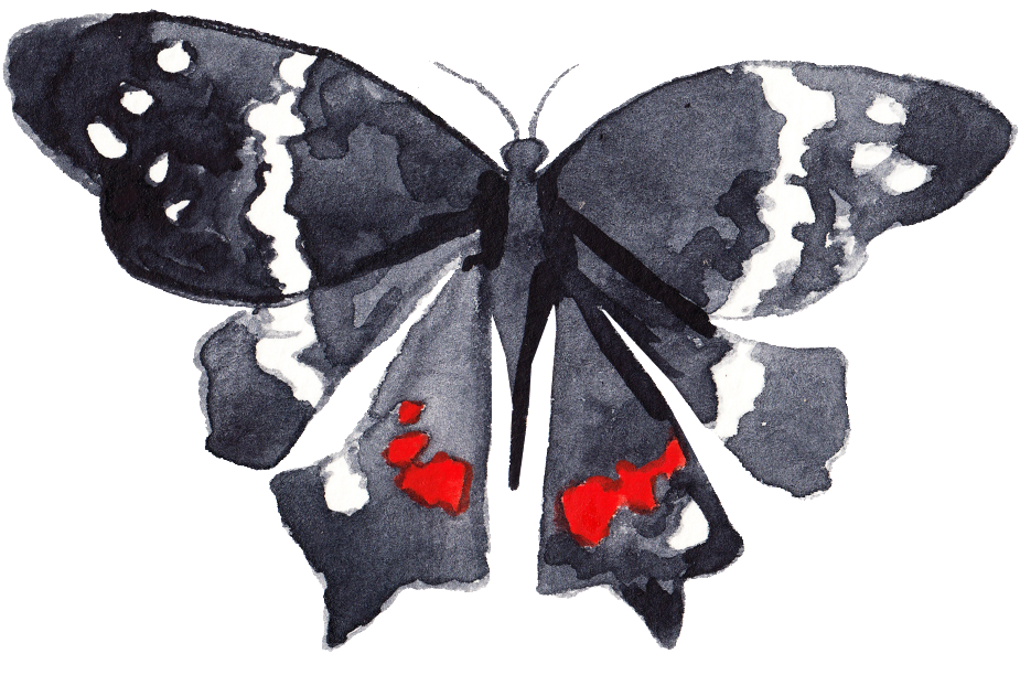 Black Ink Butterfly Transparent Decorative - Papilio (1024x665), Png Download