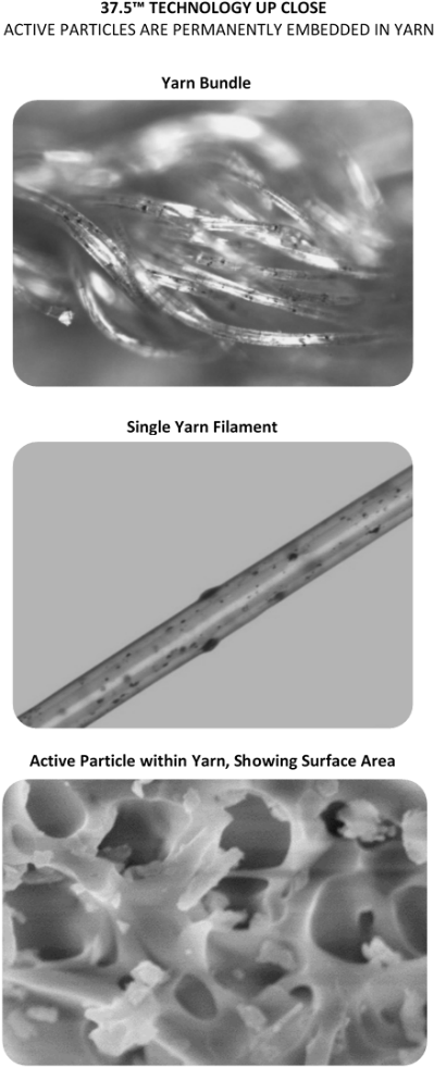 Monochrome (435x992), Png Download