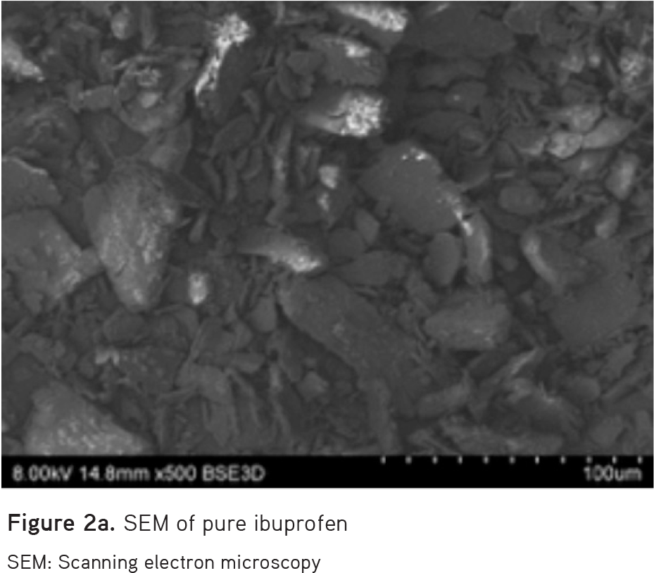 Under High Magnification, It Was Further Observed That - Monochrome (949x820), Png Download