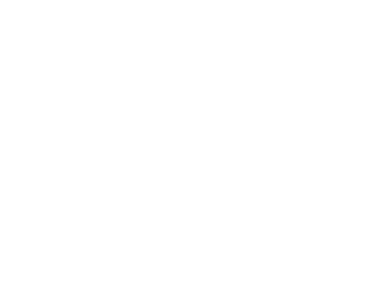 Logo Natal Bio Forum - Twitter White Icon Png (1523x1223), Png Download