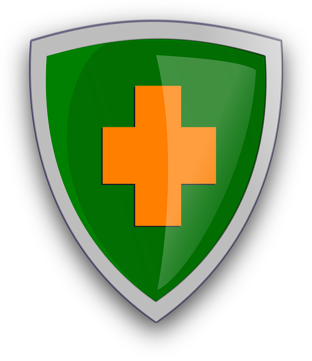 Defend Shield Protect - Shield (623x720), Png Download