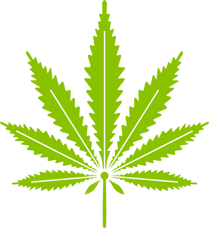Marihuana - Cannabis Leaf (667x727), Png Download