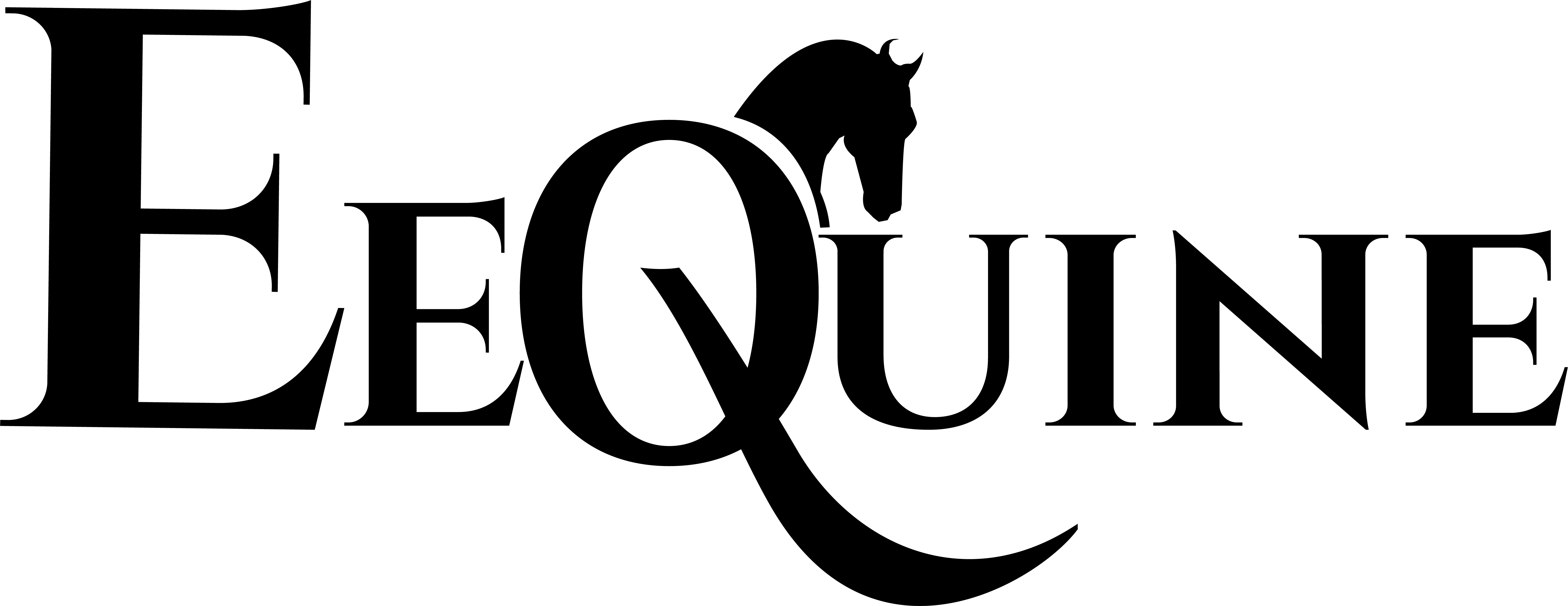 Stallion (6154x2381), Png Download