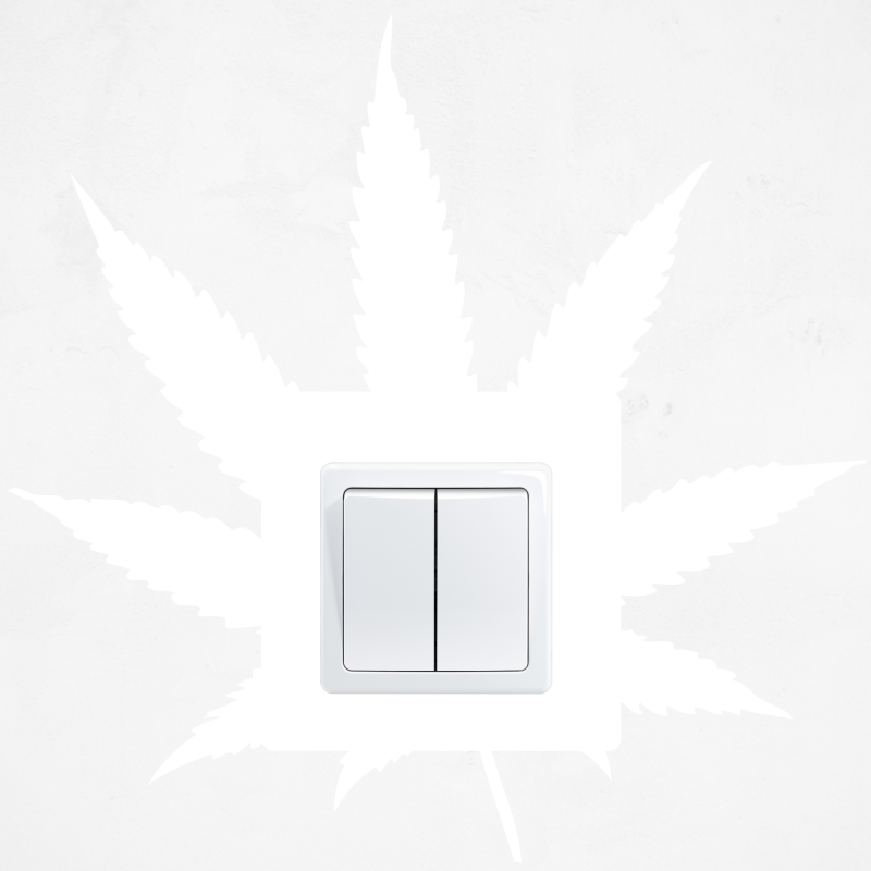 Samolepka Na Vypínač - Smoke Weed Everyday Weed (800x800), Png Download