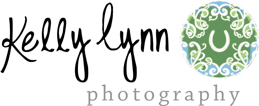 Kelly Lynn Photography - Blog (1088x638), Png Download