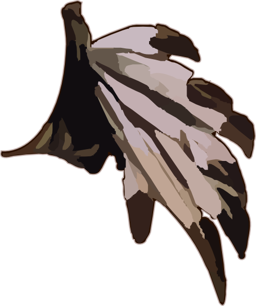 Native Indian Feathers Clip Art - Indian Feathers Clip Art (498x595), Png Download