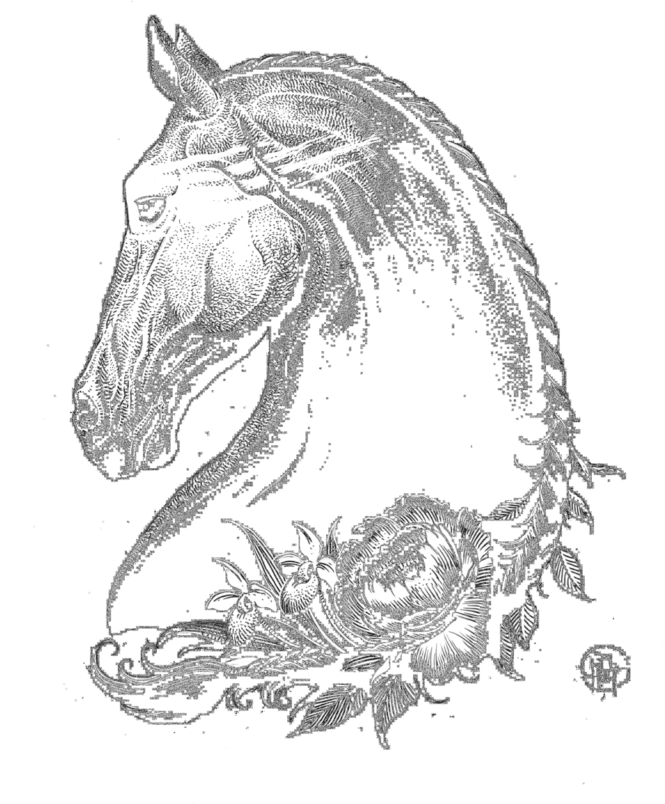 Evil Horse Drawing - Drawing (971x1179), Png Download