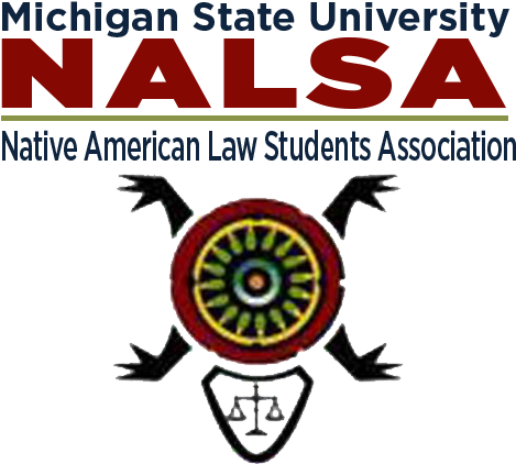 Nalsa - Portable Network Graphics (504x441), Png Download