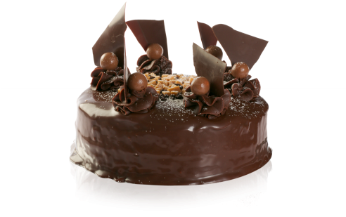 Chocolate Fudge Cake - Fudge Cake (500x334), Png Download