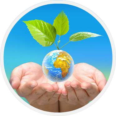 Forgin Casting Rajkot - School (372x372), Png Download