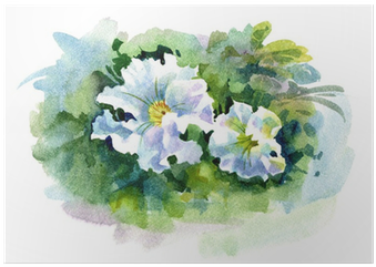 Watercolor Flower Collection - Watercolor Painting (400x400), Png Download