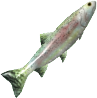 Trout (420x420), Png Download