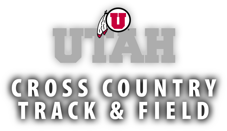 Utah Utes Die Cut Color Decal 8in X 8in (751x436), Png Download