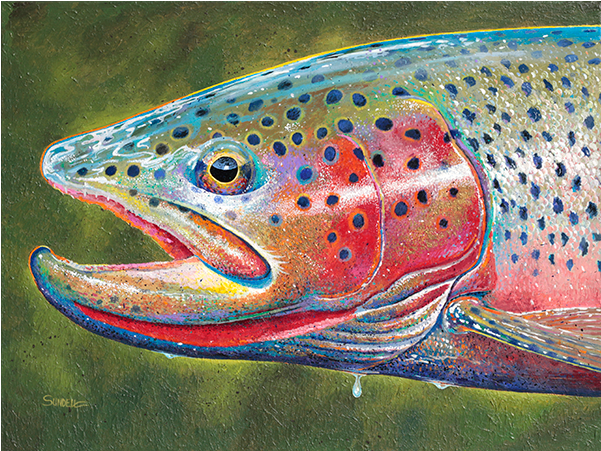 Spring Cutthroat - Trout (600x600), Png Download