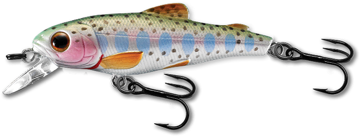 900 Rainbow Trout - Rainbow Trout (750x292), Png Download