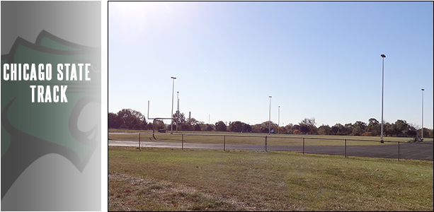 Chicago State Track And Field At Iwu Titan Open - Tree (615x310), Png Download