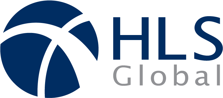 Hls Global Accounting Firm Logo - Global Logo Internet Company (790x382), Png Download