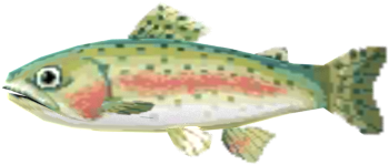 Download Zip Archive - Trout (750x650), Png Download