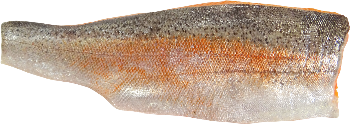 Fillet Fish Food Png - Sea Trout Fillet (1200x514), Png Download