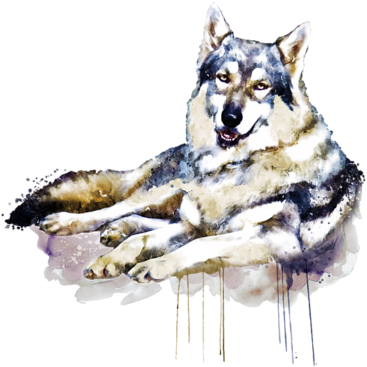 Click And Drag To Re-position The Image, If Desired - Watercolor Painting (600x600), Png Download