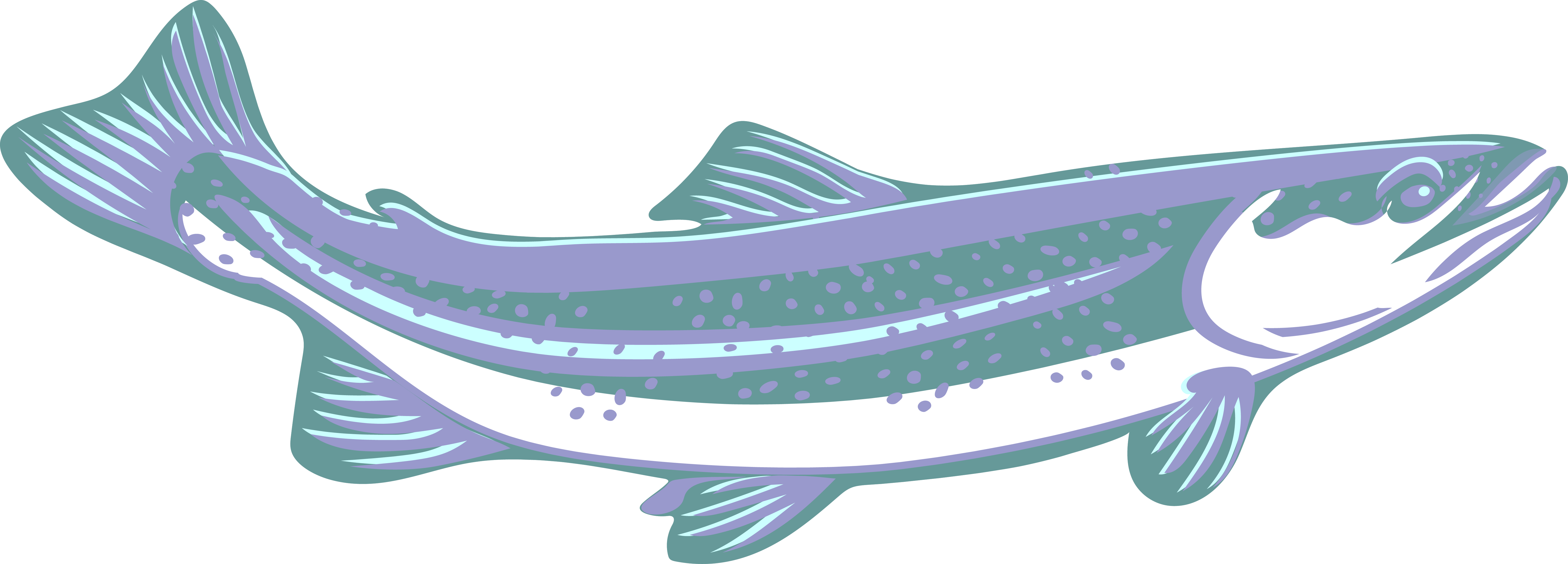 Trout, Clip Art, Purple, Blue, White, Speckled, Curved - Blue (6314x2272), Png Download