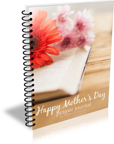 Mothers Day Prayer Journal - Women Of The Bible By Colleen L. Reece (480x608), Png Download