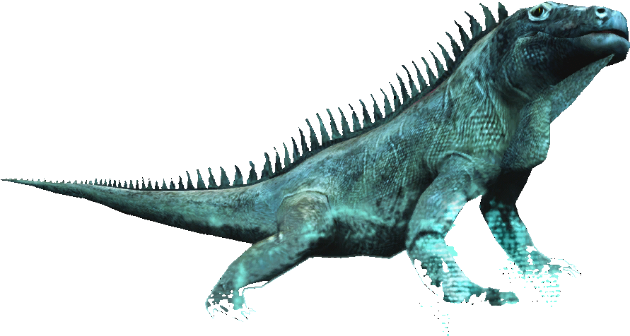 Ac4db - Iguana - Assassin Creed Black Flag Iguana (1024x756), Png Download