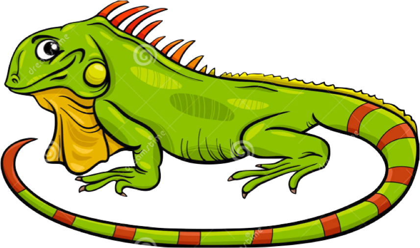 Download Image Royalty Free Library Green Lizard Free On Dumielauxepices -  Iguana Cartoon PNG Image with No Background 