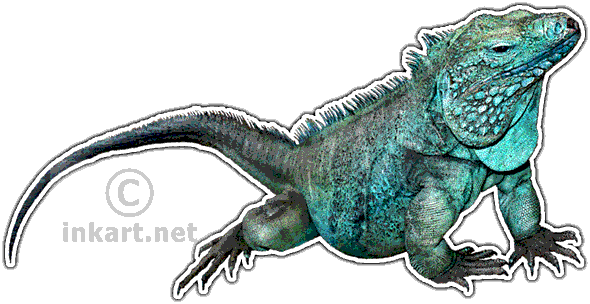 Grand Cayman Blue Iguana Decal - Iguanas Of Madagascar Transparent (590x304), Png Download